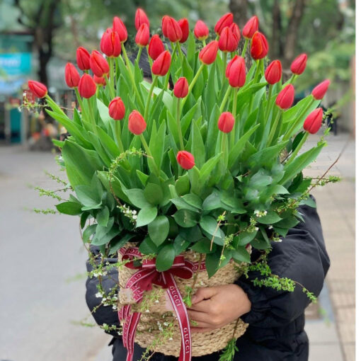 Giỏ Hoa Tulip GHV22