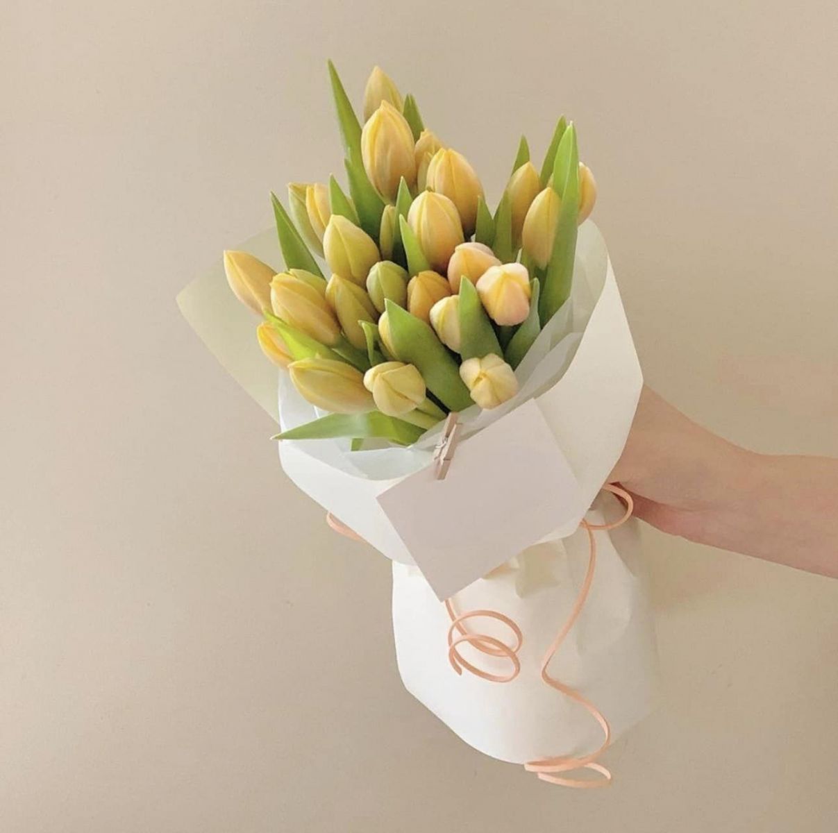 Bó hoa Tulip Bhv4
