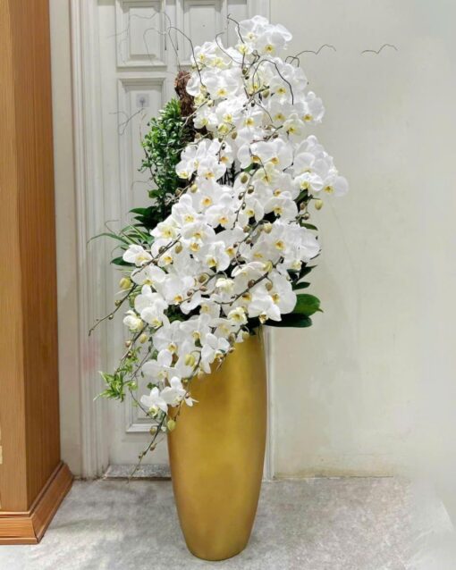 Chậu Lan Hồ Điệp lhd321