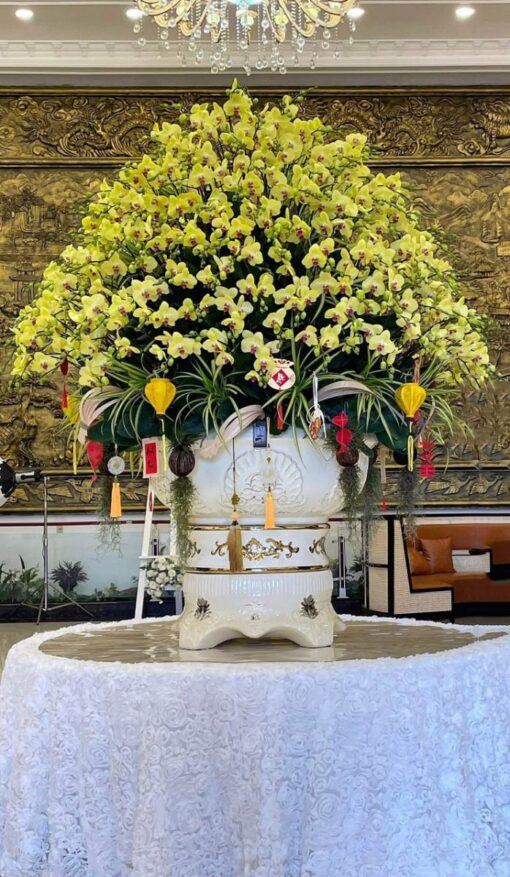 Chậu Lan Hồ Điệp lhd331